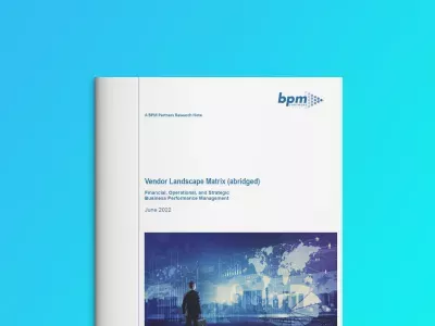 BPM Partners Business Performance Management Matrix