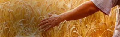 From Management Intelligence System to Intelligent Planning at Valagro