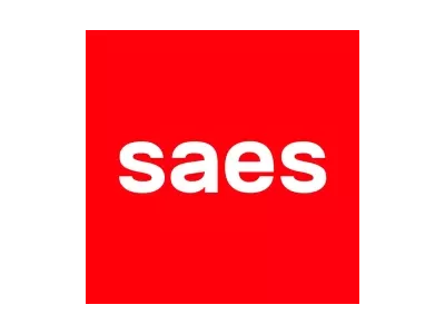 Sales Planning and Financial Consolidation at Saes Getter