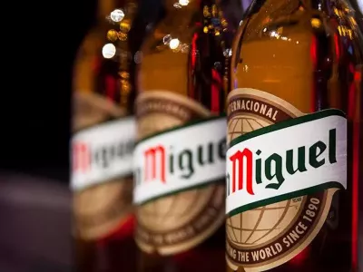 Moving Beyond Sales &amp; Operations Planning at Mahou San Miguel