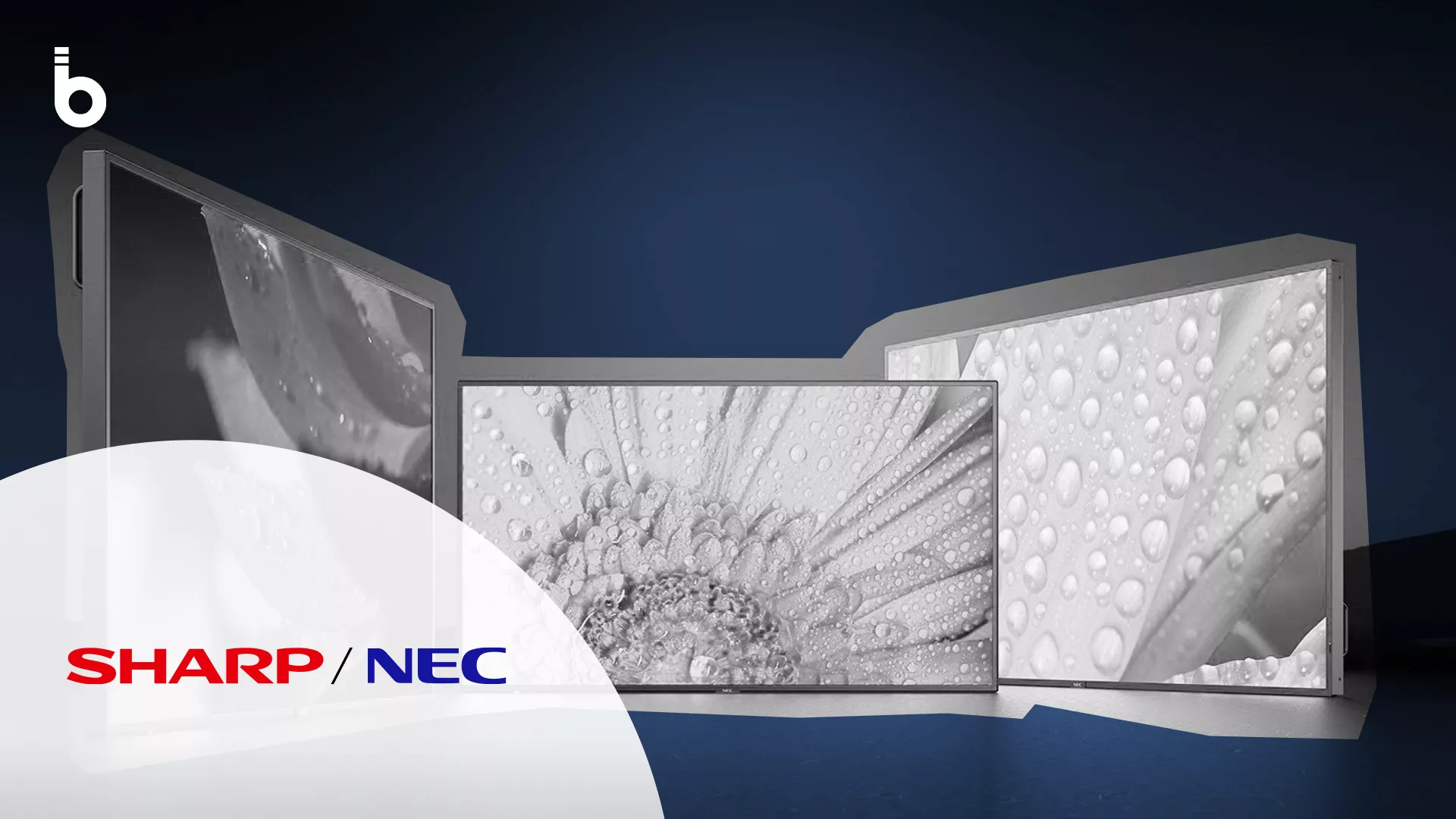 Sharp NEC Display Solutions thumb