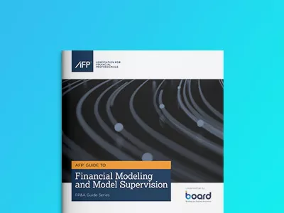 AFP - Definitive Guide to Financial Modeling and Model Supervision