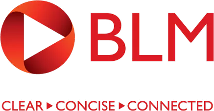 BLM BLM:顧客情報と経営データを統合 Image 1