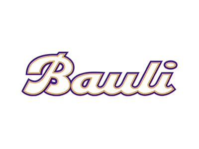 End-to-end planning and scenario management in the Bauli Group End-to-end planning and scenario management in the Bauli Group