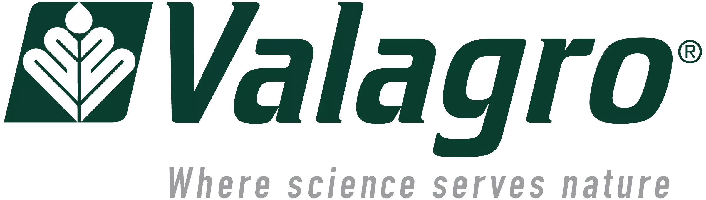 Valagro Spa From Management Intelligence System to Intelligent Planning at Valagro Image 1