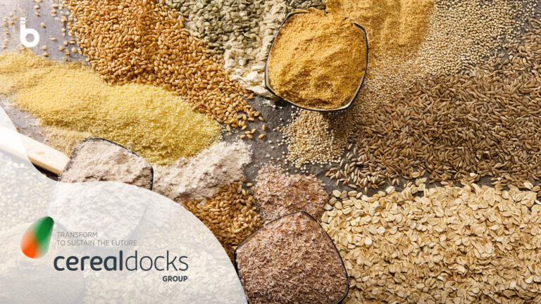 Cerela Docks video case study Board