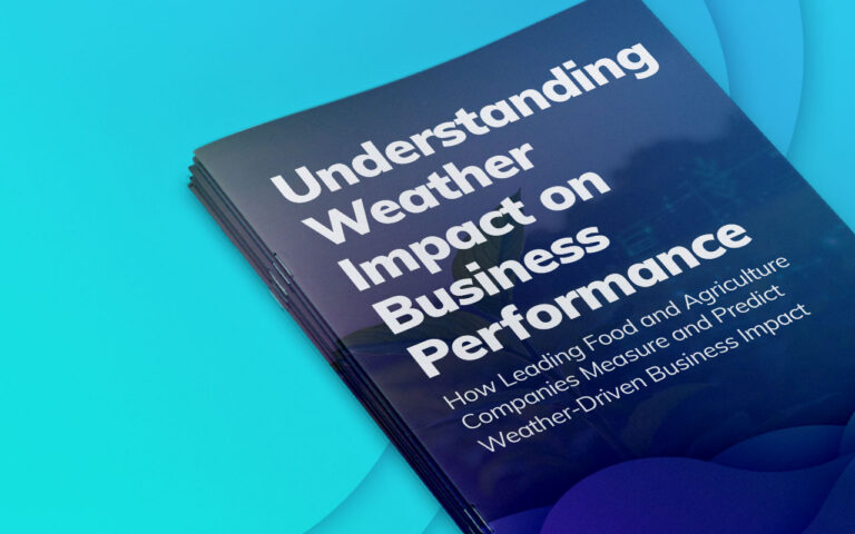 Understanding Weather Impact on Business Performance